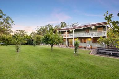 House Auction - QLD - Doonan - 4562 - Character Meets Modern Comfort in Exclusive Location  (Image 2)