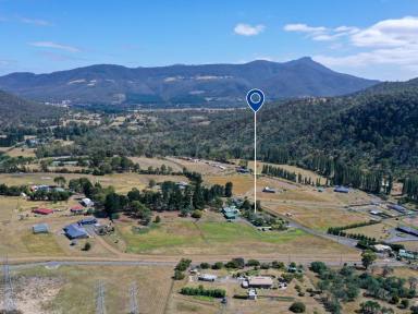 House For Sale - TAS - Molesworth - 7140 - Discover 5 Acres in Molesworth featuring a Spacious Family home along with an additional unit!  (Image 2)