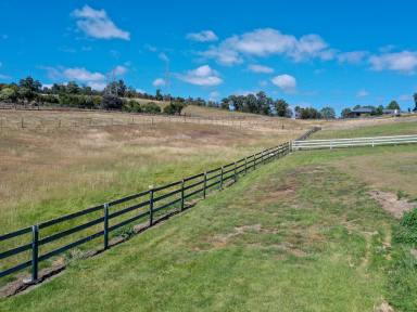 House For Sale - TAS - Molesworth - 7140 - Discover 5 Acres in Molesworth featuring a Spacious Family home along with an additional unit!  (Image 2)