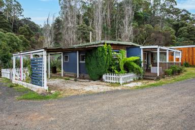 Lifestyle For Sale - TAS - Gunns Plains - 7315 - Own the building, lease the land - no pets)Your Wildlife Getaway!  (Image 2)