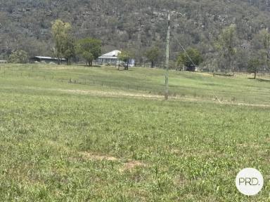 Lifestyle For Sale - NSW - Martindale - 2328 - Tranquil Rural Living on 17 hectares  (Image 2)