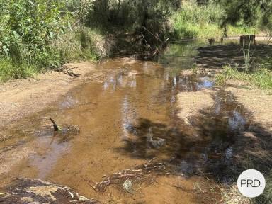 Lifestyle For Sale - NSW - Martindale - 2328 - Tranquil Rural Living on 17 hectares  (Image 2)