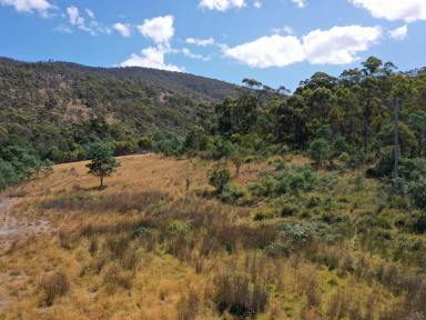 Lifestyle For Sale - TAS - Westerway - 7140 - 70 Acres in an Excellent Location  (Image 2)