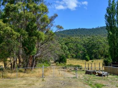 Lifestyle For Sale - TAS - Westerway - 7140 - 70 Acres in an Excellent Location  (Image 2)