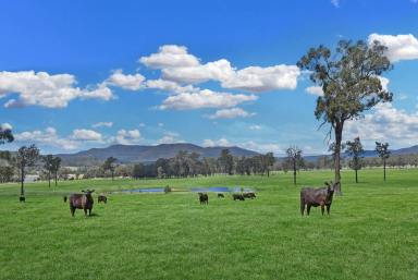 Lifestyle For Sale - NSW - Congewai - 2325 - Expansive Homestead on 100 Prime rural Acres  (Image 2)