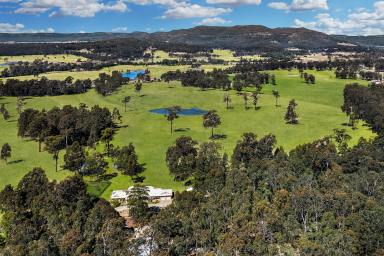 Lifestyle For Sale - NSW - Congewai - 2325 - Expansive Homestead on 100 Prime rural Acres  (Image 2)