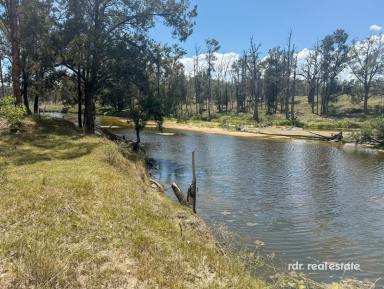 Lifestyle For Sale - NSW - Bundarra - 2359 - NEW ENGLAND WEEKENDER  (Image 2)