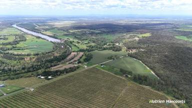 Acreage/Semi-rural For Sale - QLD - Bucca - 4670 - Versatile Property with Kolan River Frontage  (Image 2)