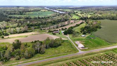 Acreage/Semi-rural For Sale - QLD - Bucca - 4670 - Versatile Property with Kolan River Frontage  (Image 2)