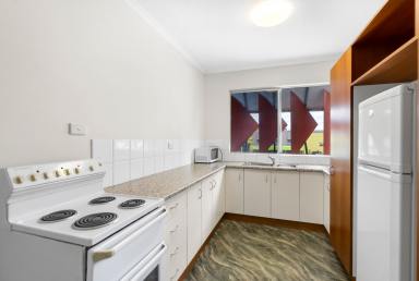 Unit Leased - QLD - Cairns City - 4870 - 1st Floor Central CBD Apartment  (Image 2)