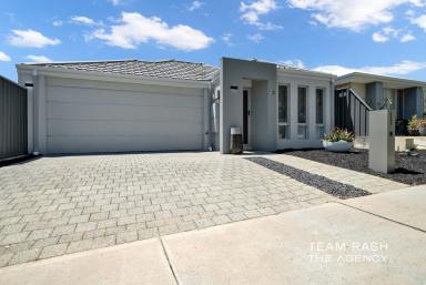 House Sold - WA - Banksia Grove - 6031 - MODERN FAMILY LIVING  (Image 2)