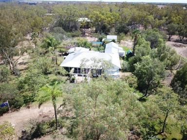 Other (Rural) For Sale - NSW - Bellata - 2397 - "Wilgaroi", 207 Wilgaroi Road Bellata  (Image 2)