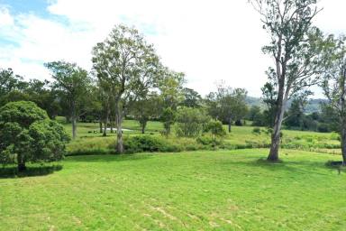 Livestock For Sale - NSW - Kyogle - 2474 - “MILLPARK” – 260 ACRES ON THE RICHMOND RIVER  (Image 2)