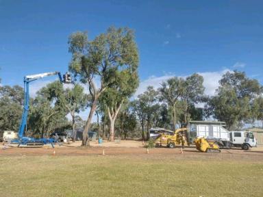 Business Sold - SA - Adelaide - 5000 - Dynamic Woodsman of Waikerie - A Rare Opportunity - Expressions of Interest  (Image 2)