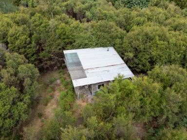 Other (Rural) For Sale - VIC - Gellibrand Lower - 3237 - Motivated Sellers have a Bush Retreat for You..  (Image 2)
