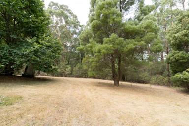 Other (Rural) For Sale - VIC - Gellibrand Lower - 3237 - Bush Retreat Near the Great Ocean Road...  (Image 2)