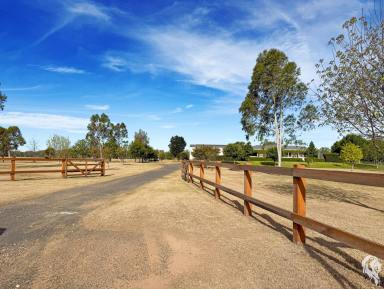 Mixed Farming For Sale - NSW - Emerald Hill - 2380 - "EVERGREEN": AN OUTSTANDING RIVERFRONT RETREAT  (Image 2)