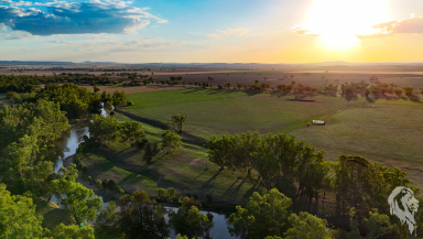Mixed Farming For Sale - NSW - Emerald Hill - 2380 - "EVERGREEN": AN OUTSTANDING RIVERFRONT RETREAT  (Image 2)