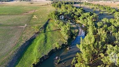 Mixed Farming For Sale - NSW - Emerald Hill - 2380 - STUNNING 100-ACRE ESTATE WITH PRIME RIVER FRONTAGE  (Image 2)