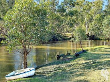Mixed Farming For Sale - NSW - Emerald Hill - 2380 - "EVERGREEN": AN OUTSTANDING RIVERFRONT RETREAT  (Image 2)