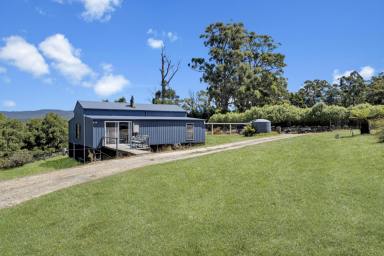 Residential Block For Sale - TAS - York Town - 7270 - Yorktown Land of Potential & Charm  (Image 2)