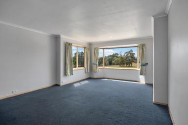 House For Sale - TAS - Gravelly Beach - 7276 - Potential, Position & Perfectly Priced  (Image 2)