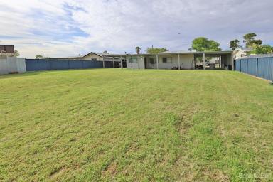 House For Sale - NSW - Bourke - 2840 - A HOUSE WITH NOTHING TO DO  (Image 2)