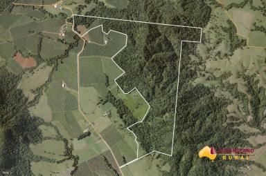 Other (Rural) For Sale - QLD - Utchee Creek - 4871 - Affordable Piece of Paradise  (Image 2)