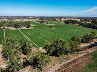 Livestock For Sale - VIC - Gannawarra - 3568 - IRRIGATED CROPPING AND GRAZING OPPORTUNITY  (Image 2)