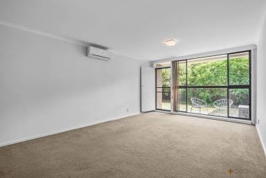 Unit Leased - VIC - Cheltenham - 3192 - QUIET BLOCK l UPDATED KITCHEN AND BATHROOM l READY TO GO  (Image 2)