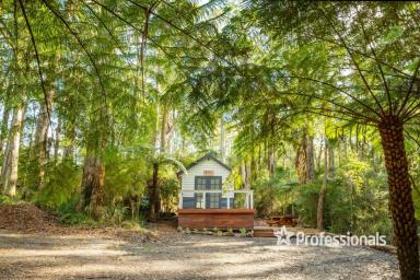 House For Sale - VIC - Warburton - 3799 - FERNY HOLLOW 1 ACRE APPROX  (Image 2)