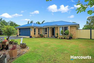 House For Sale - QLD - Branyan - 4670 - Spacious Acreage Living with Modern Comforts and Endless Sheds!  (Image 2)