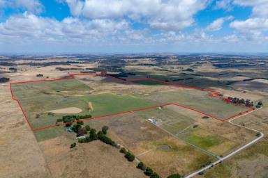 Mixed Farming Auction - NSW - Crookwell - 2583 - Glenerin Road Farm , Exciting country life opportunity !  (Image 2)