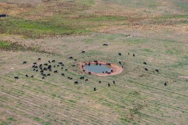 Mixed Farming For Sale - NSW - Crookwell - 2583 - "Glenerin Road Farm at Grabben Gullen near Crookwell"  (Image 2)