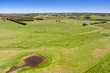 Mixed Farming For Sale - NSW - Crookwell - 2583 - "Glenerin Road Farm at Grabben Gullen near Crookwell"  (Image 2)