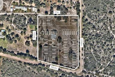 House For Sale - WA - Pinjarra - 6208 - PRIME DEVELOPMENT OPPORTUNITY IN THE RAPIDLY GROWING PEEL REGION  (Image 2)