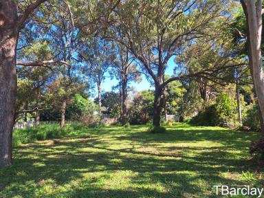 Residential Block For Sale - QLD - Macleay Island - 4184 - Mostly cleared block  (Image 2)