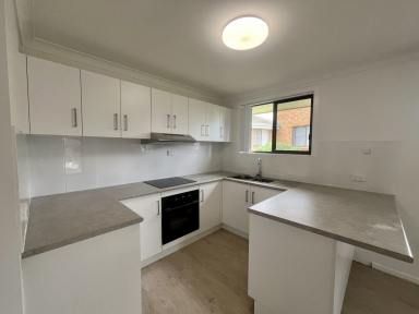 Unit For Lease - NSW - Grafton - 2460 - RENOVATED UNIT HEART OF GRAFTON  (Image 2)