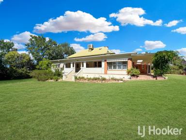 House For Sale - NSW - Inverell - 2360 - Rare opportunity to purchase a Brae Street river property  (Image 2)