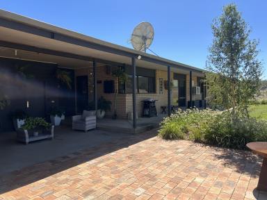 House For Lease - NSW - Culcairn - 2660 - RURAL LIFESTYLE FOR LEASE  (Image 2)