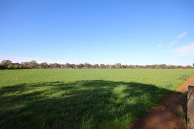 Cropping For Sale - VIC - Elmore - 3558 - SMALL ACREAGE IN GREAT LOCATION  (Image 2)