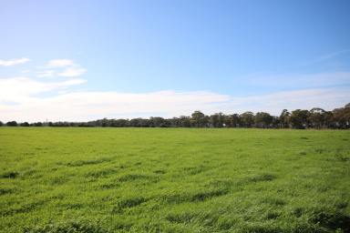 Cropping For Sale - VIC - Elmore - 3558 - SMALL ACREAGE IN GREAT LOCATION  (Image 2)