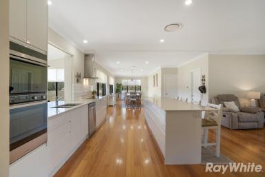 Acreage/Semi-rural For Sale - NSW - Glen Oak - 2320 - First Class Opportunity  (Image 2)