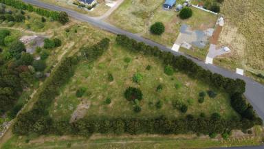 Residential Block For Sale - TAS - Waratah - 7321 - Tarkine Treasure!  (Image 2)