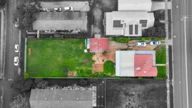 House For Lease - NSW - Tamworth - 2340 - LOCATION PLUS NORTH TAMWORTH  (Image 2)