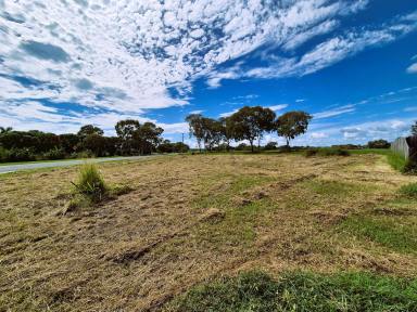 Residential Block For Sale - QLD - Bowen - 4805 - Convenient Living Starts Here  (Image 2)