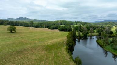 Mixed Farming For Sale - NSW - Brierfield - 2454 - 'Riverside' Bellingen  (Image 2)