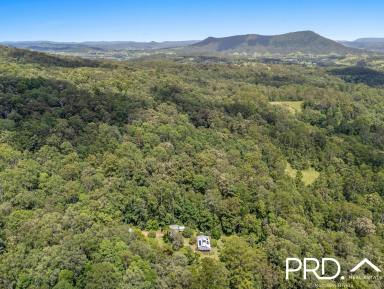 House For Sale - NSW - Kyogle - 2474 - Home and Studio on 13+ acres  (Image 2)