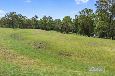 Residential Block For Sale - QLD - Jones Hill - 4570 - Peaceful Small Acreage Minutes to Town  (Image 2)