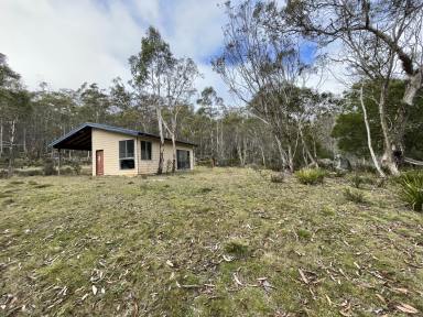 Lifestyle For Sale - NSW - Greenlands - 2330 - Rural Retreat Amidst Nature's Splendour  (Image 2)